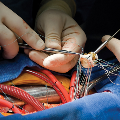 untitled (600 x 600 px) (634 x 600 px) (371 x 361 px) (400 x 400 px) (3)