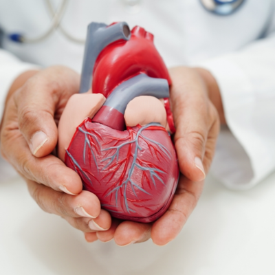 untitled (600 x 600 px) (634 x 600 px) (371 x 361 px) (400 x 400 px) (6)