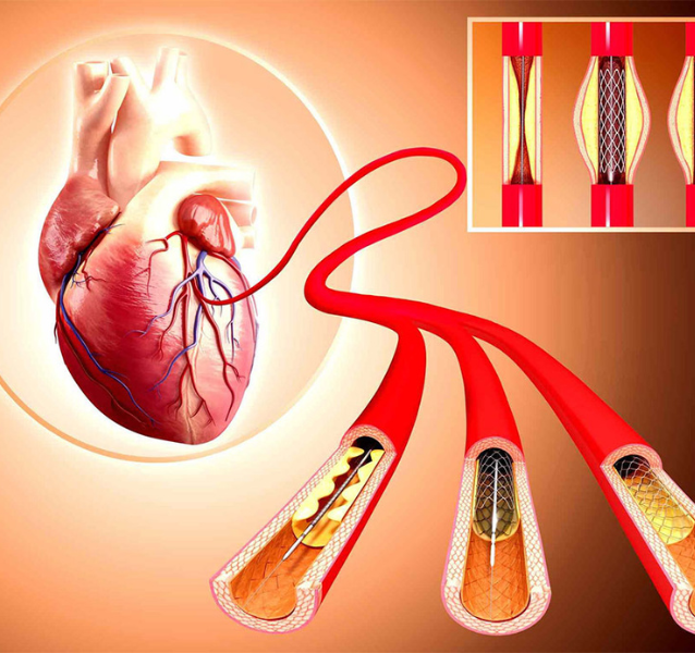 untitled (600 x 600 px) (634 x 600 px) (371 x 361 px) (400 x 400 px) (638 x 600 px)