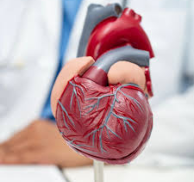 untitled (600 x 600 px) (634 x 600 px) (371 x 361 px) (400 x 400 px) (638 x 600 px) (11)