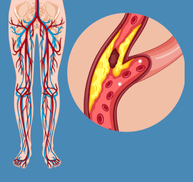 untitled (600 x 600 px) (634 x 600 px) (371 x 361 px) (400 x 400 px) (638 x 600 px) (6)